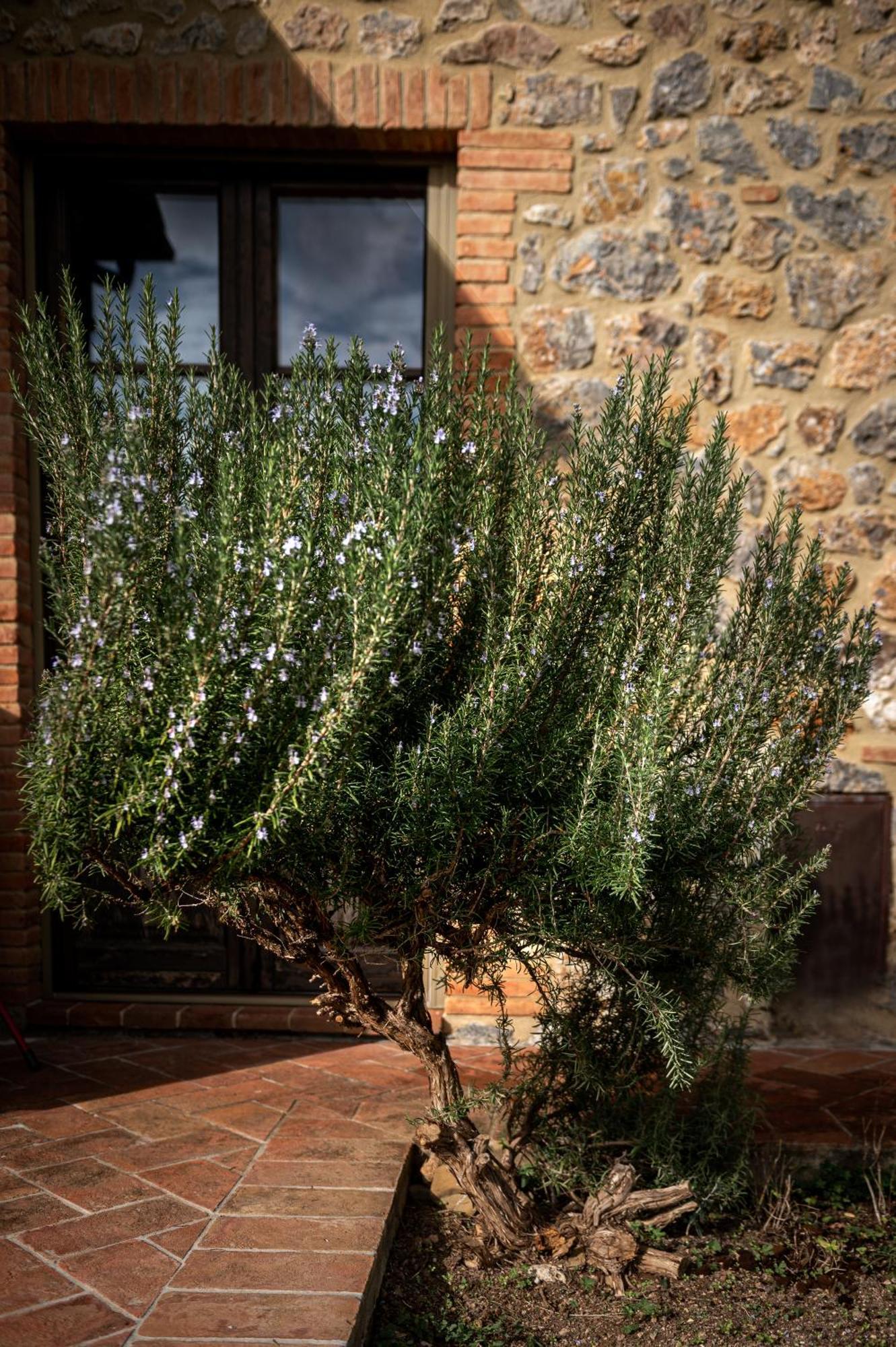Tenuta Aronne Massa Marittima Exterior photo