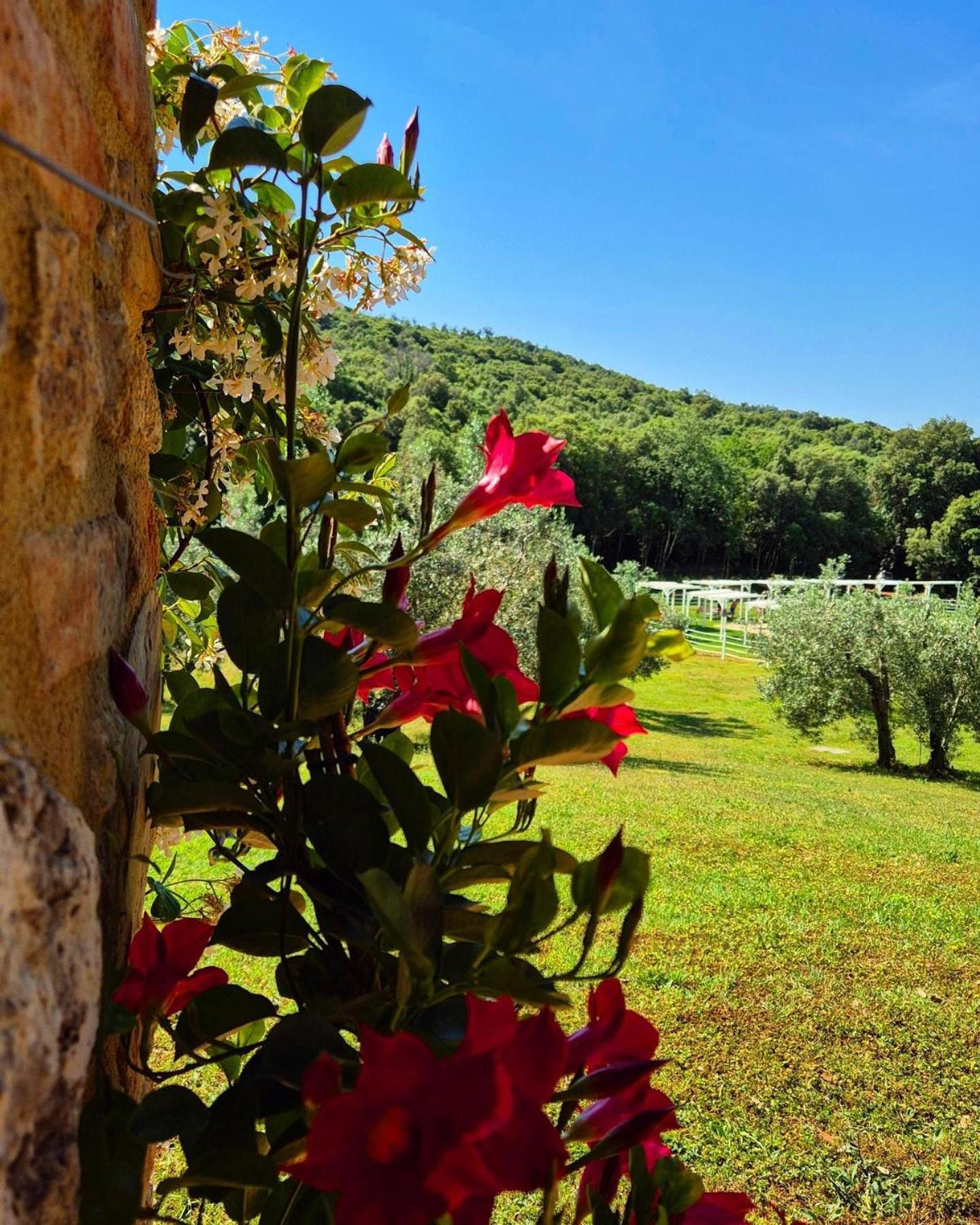 Tenuta Aronne Massa Marittima Exterior photo